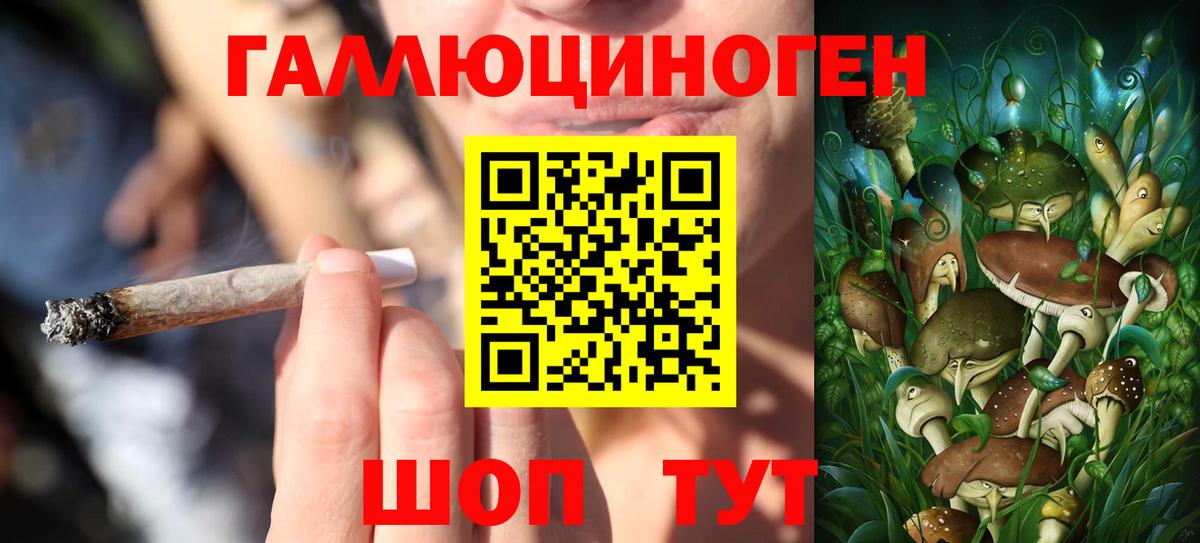 Гудермес  Псилоцибиновые грибы GOLDEN TEACHER  цена наркотик  Вход с VPN 