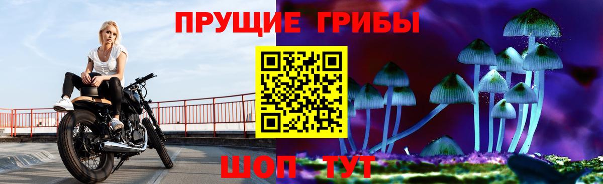Галлюциногенные грибы Magic Shrooms Гудермес